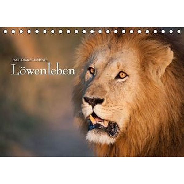 Emotionale Momente: Löwenleben / AT-Version (Tischkalender 2015 DIN A5 quer), Ingo Gerlach