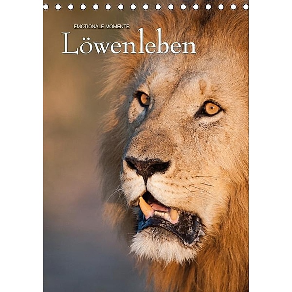 Emotionale Momente: Löwenleben / CH-Version (Tischkalender 2017 DIN A5 hoch), Ingo Gerlach, Ingo Gerlach GDT