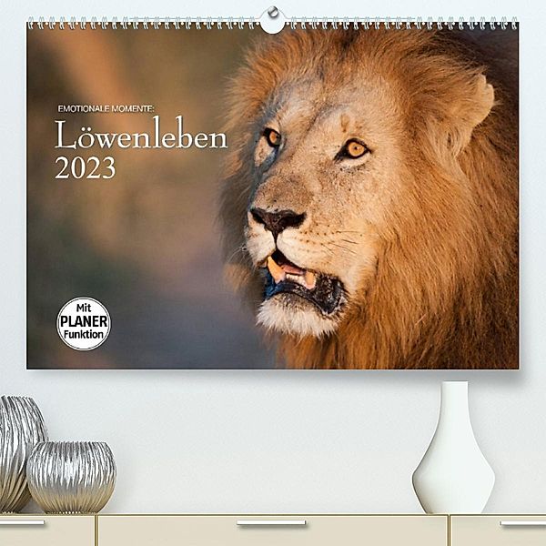 Emotionale Momente: Löwenleben (Premium, hochwertiger DIN A2 Wandkalender 2023, Kunstdruck in Hochglanz), Ingo Gerlach GDT