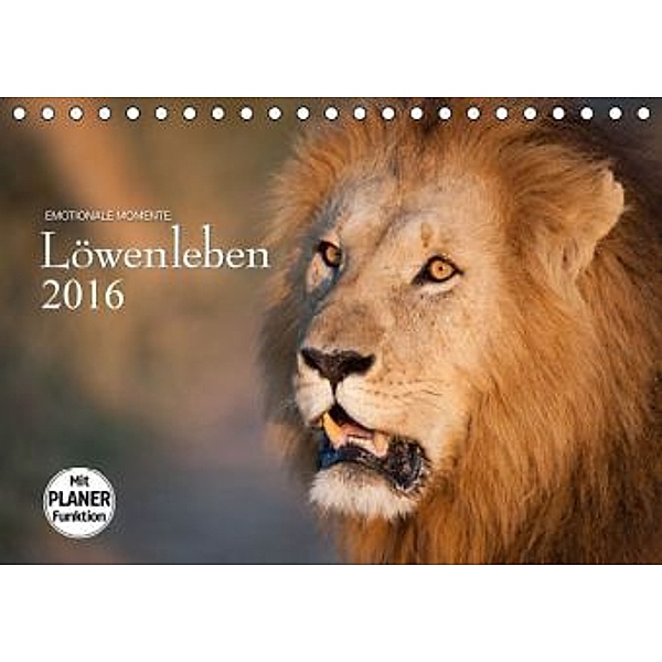 Emotionale Momente: Löwenleben (Tischkalender 2016 DIN A5 quer), Ingo Gerlach