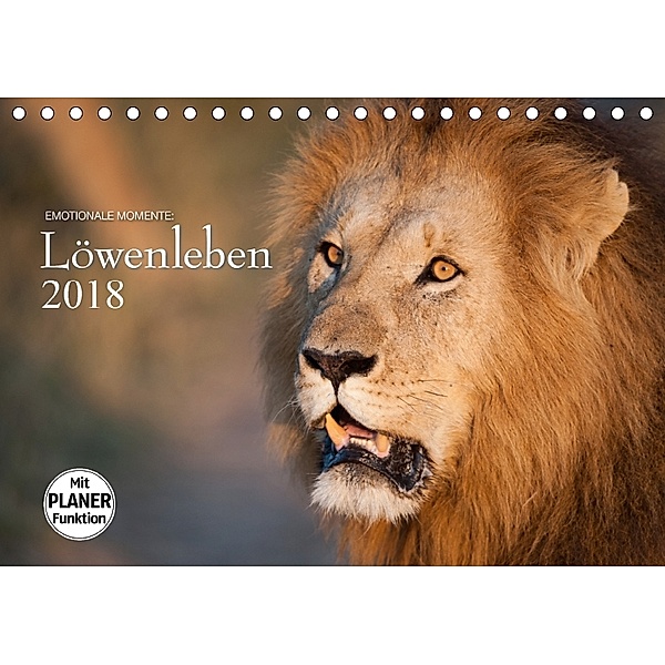 Emotionale Momente: Löwenleben (Tischkalender 2018 DIN A5 quer), Ingo Gerlach GDT