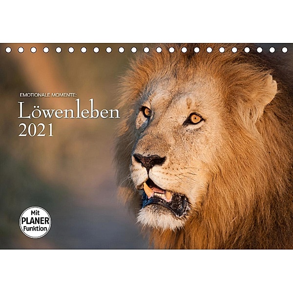 Emotionale Momente: Löwenleben (Tischkalender 2021 DIN A5 quer), Ingo Gerlach GDT