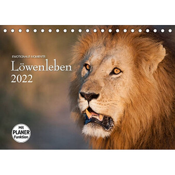 Emotionale Momente: Löwenleben (Tischkalender 2022 DIN A5 quer), Ingo Gerlach GDT