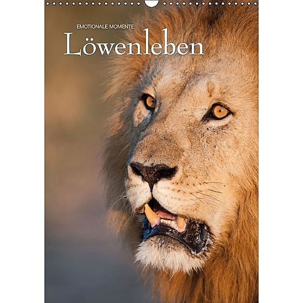 Emotionale Momente: Löwenleben (Wandkalender 2014 DIN A3 hoch), Ingo Gerlach
