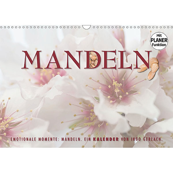 Emotionale Momente: Mandeln (Wandkalender 2020 DIN A3 quer), Ingo Gerlach