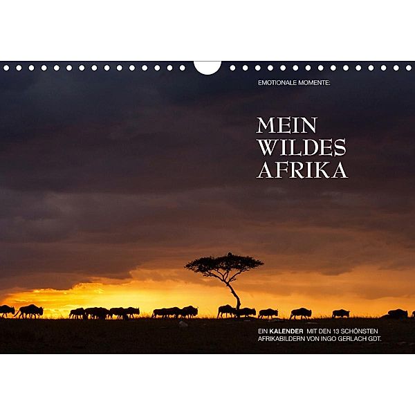 Emotionale Momente: Mein wildes Afrika / CH-Version (Wandkalender 2020 DIN A4 quer), Ingo Gerlach GDT