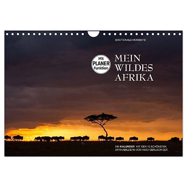 Emotionale Momente: Mein wildes Afrika (Wandkalender 2024 DIN A4 quer), CALVENDO Monatskalender, Ingo Gerlach GDT