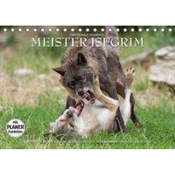 Emotionale Momente: Meister Isegrim. (Tischkalender 2019 DIN A5 quer), Ingo Gerlach