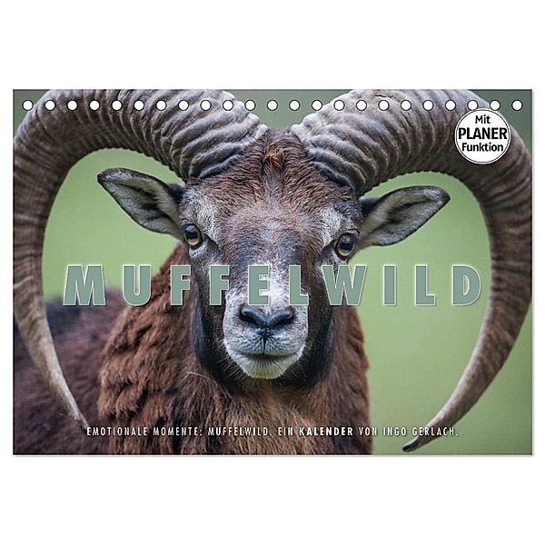 Emotionale Momente: Muffelwild. (Tischkalender 2024 DIN A5 quer), CALVENDO Monatskalender, Ingo Gerlach