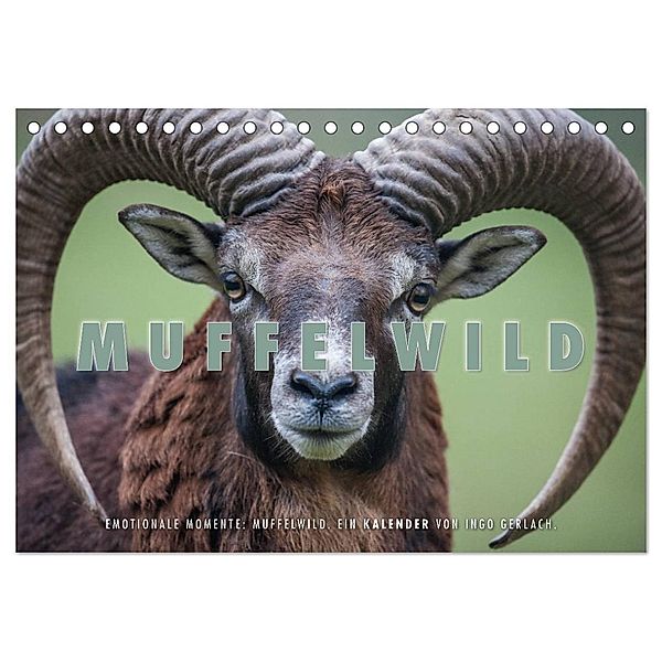 Emotionale Momente: Muffelwild. (Tischkalender 2025 DIN A5 quer), CALVENDO Monatskalender, Calvendo, Ingo Gerlach