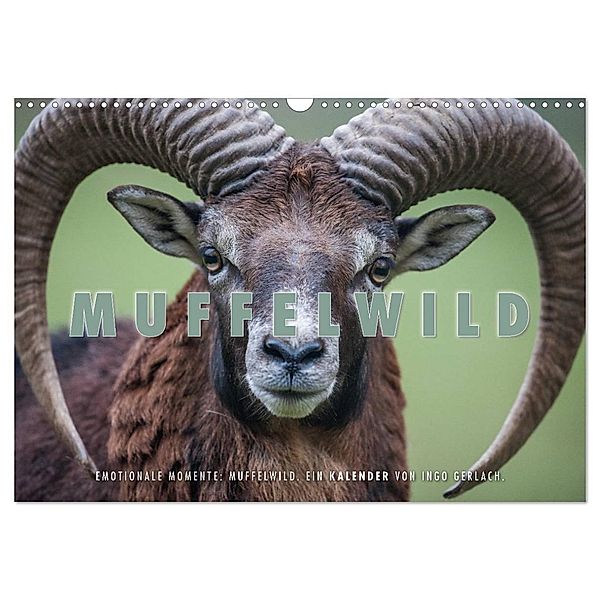 Emotionale Momente: Muffelwild. (Wandkalender 2025 DIN A3 quer), CALVENDO Monatskalender, Calvendo, Ingo Gerlach