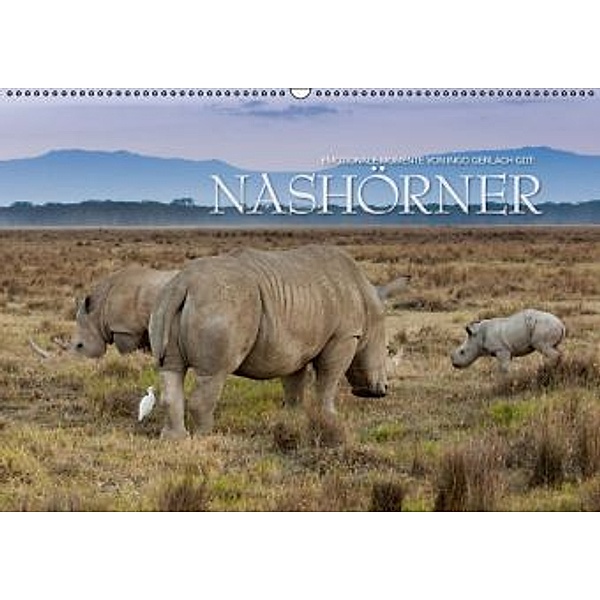 Emotionale Momente: Nashörner / CH-Version (Wandkalender 2016 DIN A2 quer), Ingo Gerlach