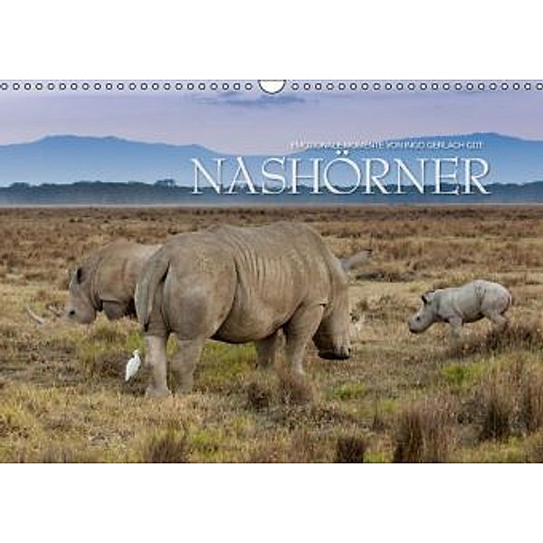 Emotionale Momente: Nashörner / CH-Version (Wandkalender 2016 DIN A3 quer), Ingo Gerlach