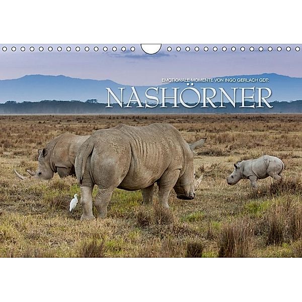 Emotionale Momente: Nashörner (Wandkalender 2017 DIN A4 quer), Ingo Gerlach GDT