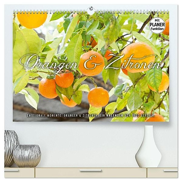 Emotionale Momente: Orangen und Zitronen. (hochwertiger Premium Wandkalender 2024 DIN A2 quer), Kunstdruck in Hochglanz, Ingo Gerlach