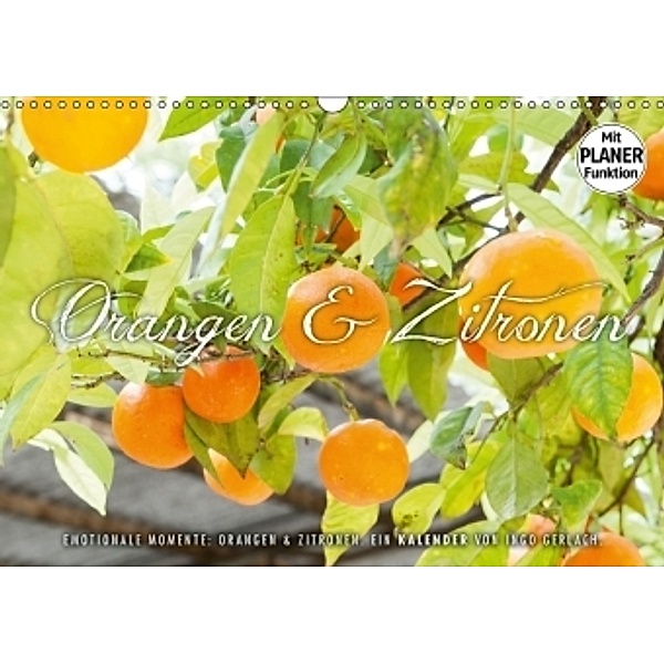 Emotionale Momente: Orangen und Zitronen. (Wandkalender 2017 DIN A3 quer), Ingo Gerlach