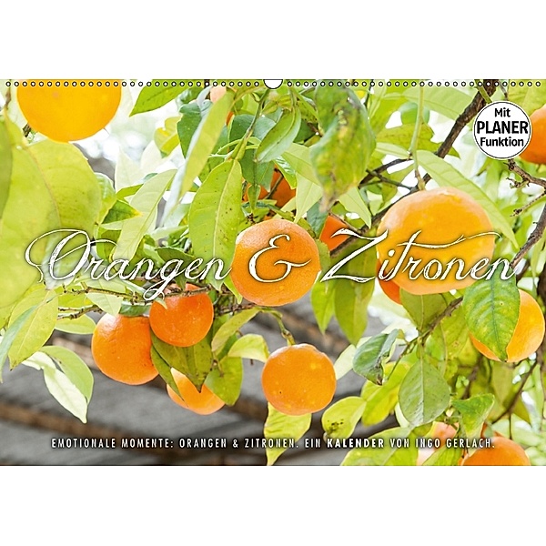Emotionale Momente: Orangen und Zitronen. (Wandkalender 2018 DIN A2 quer), Ingo Gerlach