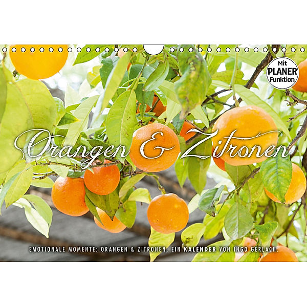 Emotionale Momente: Orangen und Zitronen. (Wandkalender 2019 DIN A4 quer), Ingo Gerlach