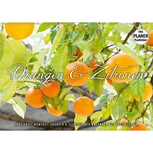 Emotionale Momente: Orangen und Zitronen. (Wandkalender 2020 DIN A2 quer), Ingo Gerlach