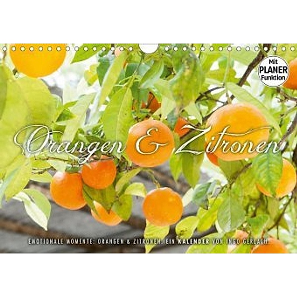Emotionale Momente: Orangen und Zitronen. (Wandkalender 2020 DIN A4 quer), Ingo Gerlach