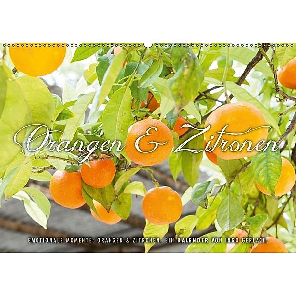 Emotionale Momente: Orangen & Zitronen. (Wandkalender 2017 DIN A2 quer), Ingo Gerlach