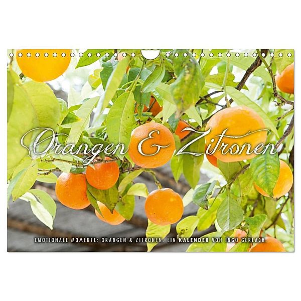 Emotionale Momente: Orangen & Zitronen. (Wandkalender 2024 DIN A4 quer), CALVENDO Monatskalender, Ingo Gerlach