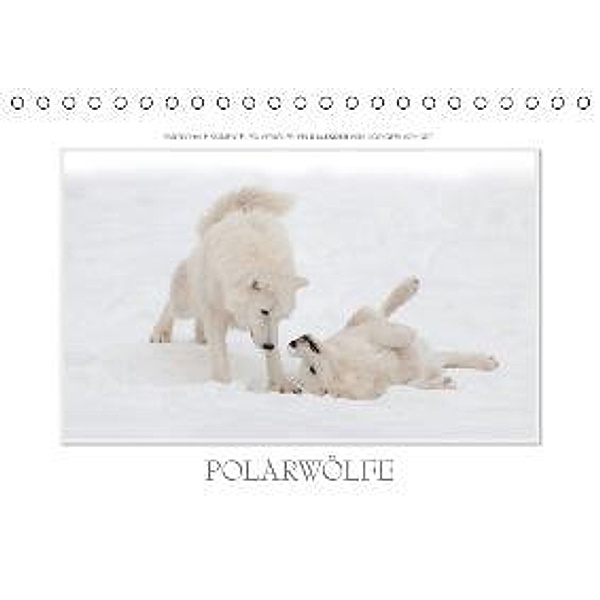 Emotionale Momente: Polarwölfe. / AT-Version (Tischkalender 2015 DIN A5 quer), Ingo Gerlach