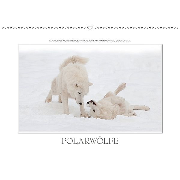 Emotionale Momente: Polarwölfe. / CH-Version (Wandkalender 2018 DIN A2 quer), Ingo Gerlach