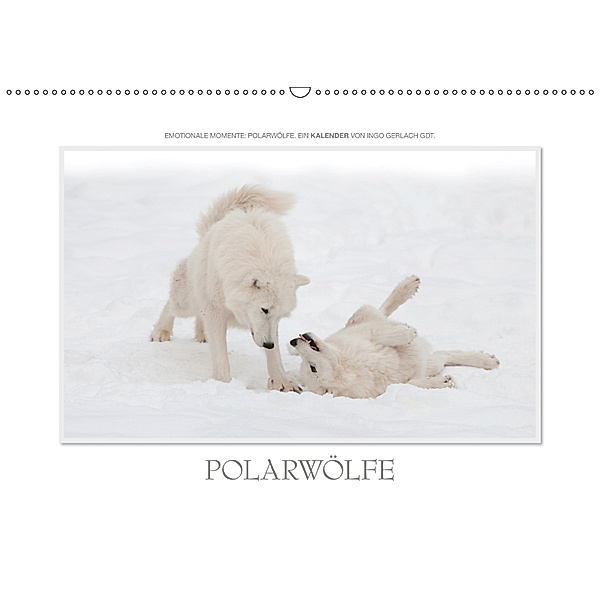 Emotionale Momente: Polarwölfe. / CH-Version (Wandkalender 2019 DIN A2 quer), Ingo Gerlach
