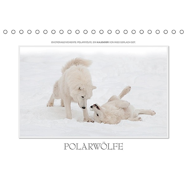 Emotionale Momente: Polarwölfe. / CH-Version (Tischkalender 2020 DIN A5 quer), Ingo Gerlach GDT