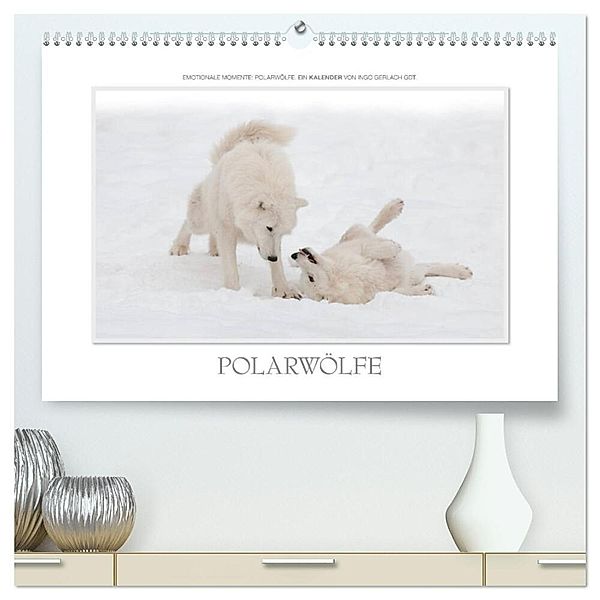 Emotionale Momente: Polarwölfe. / CH-Version (hochwertiger Premium Wandkalender 2025 DIN A2 quer), Kunstdruck in Hochglanz, Calvendo, Ingo Gerlach GDT