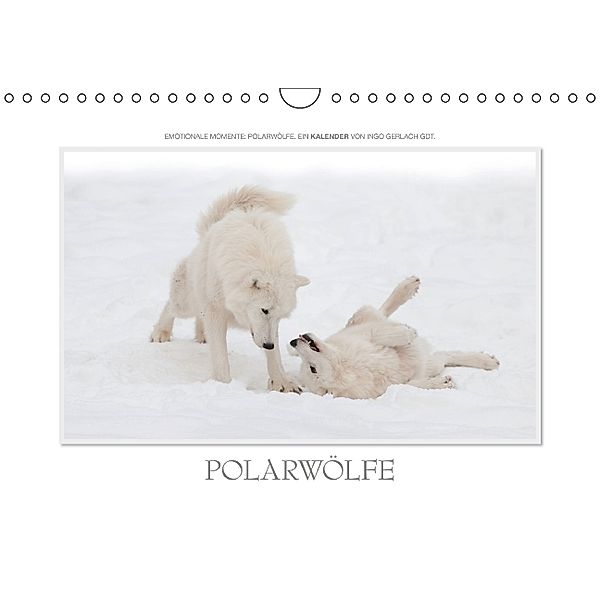 Emotionale Momente: Polarwölfe. (Wandkalender 2014 DIN A4 quer), Ingo Gerlach