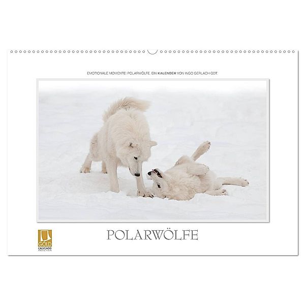 Emotionale Momente: Polarwölfe. (Wandkalender 2024 DIN A2 quer), CALVENDO Monatskalender, Ingo Gerlach GDT