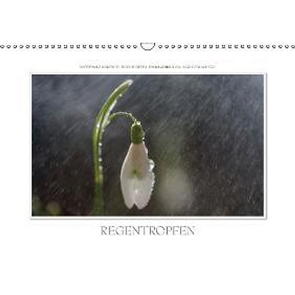 Emotionale Momente: Regentropfen. / AT-Version (Wandkalender 2015 DIN A3 quer), Ingo Gerlach