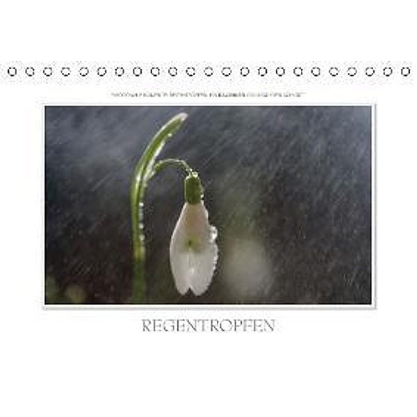 Emotionale Momente: Regentropfen. / AT-Version (Tischkalender 2015 DIN A5 quer), Ingo Gerlach