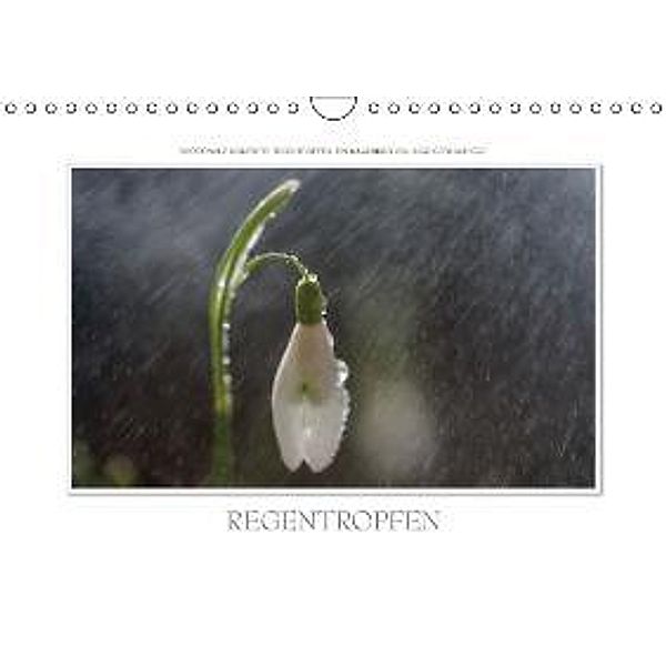 Emotionale Momente: Regentropfen. / CH-Version (Wandkalender 2015 DIN A4 quer), Ingo Gerlach