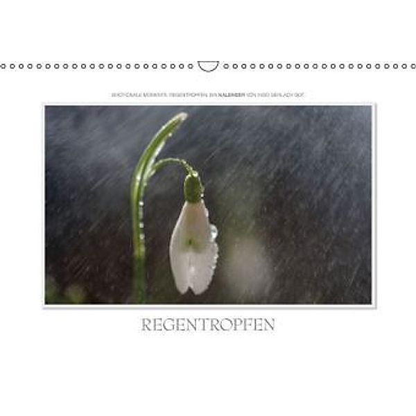 Emotionale Momente: Regentropfen. / CH-Version (Wandkalender 2016 DIN A3 quer), Ingo Gerlach