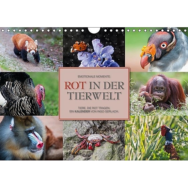 Emotionale Momente: Rot in der Tierwelt / CH-Version (Wandkalender 2017 DIN A4 quer), Ingo Gerlach, Ingo Gerlach GDT