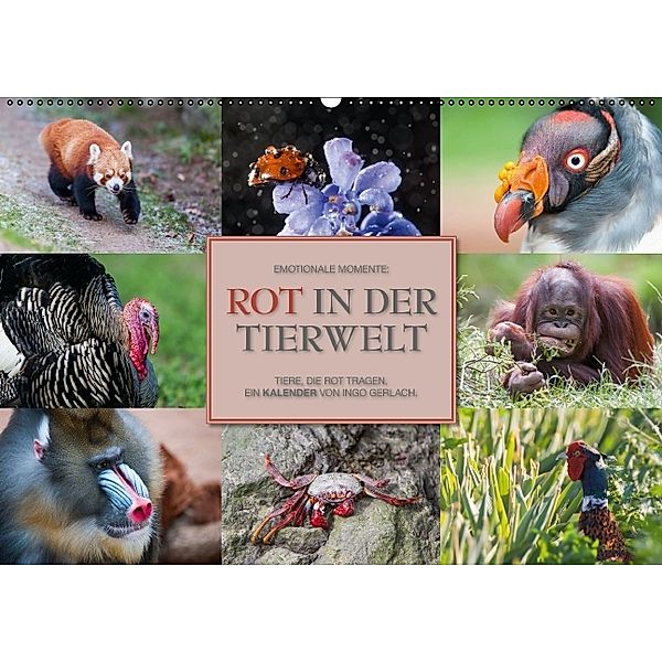 Emotionale Momente: Rot in der Tierwelt (Wandkalender 2014 DIN A2 quer), Ingo Gerlach