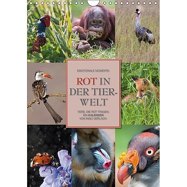 Emotionale Momente: Rot in der Tierwelt (Wandkalender 2017 DIN A4 hoch), Ingo Gerlach, Ingo Gerlach GDT