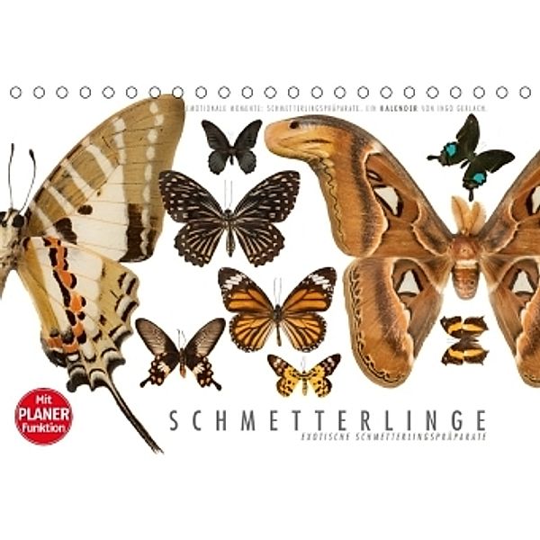 Emotionale Momente: Schmetterlinge - exotische Schmetterlingspräparate (Tischkalender 2017 DIN A5 quer), Ingo Gerlach
