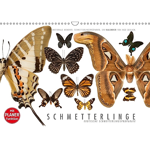 Emotionale Momente: Schmetterlinge - exotische Schmetterlingspräparate (Wandkalender 2018 DIN A3 quer) Dieser erfolgreic, Ingo Gerlach