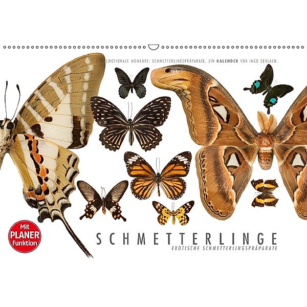 Emotionale Momente: Schmetterlinge - exotische Schmetterlingspräparate (Wandkalender 2018 DIN A2 quer) Dieser erfolgreic, Ingo Gerlach