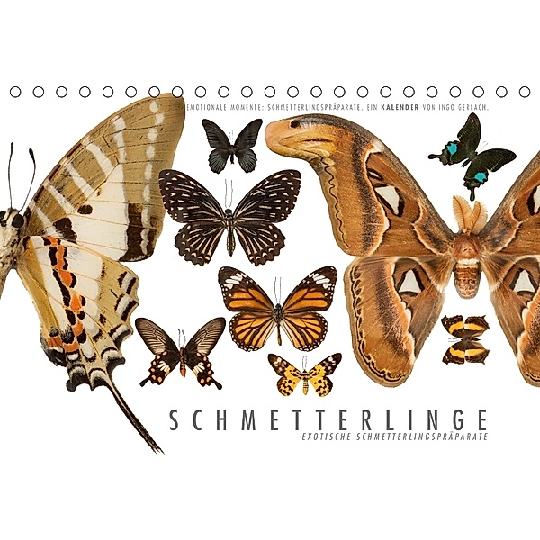Emotionale Momente: Schmetterlinge - exotische Schmetterlingspräparate (Tischkalender 2018 DIN A5 quer), Ingo Gerlach