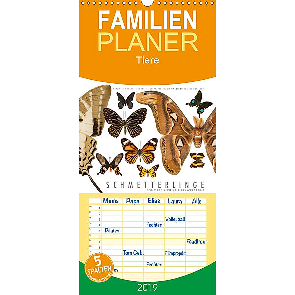 Emotionale Momente: Schmetterlinge - exotische Schmetterlingspräparate - Familienplaner hoch (Wandkalender 2019 , 21 cm, Ingo Gerlach