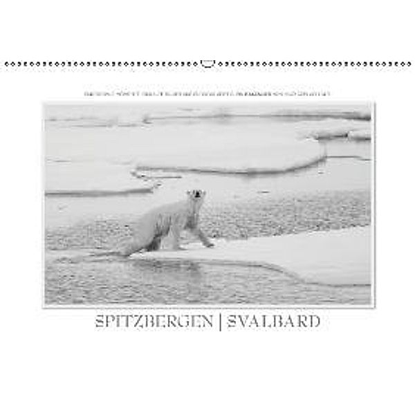 Emotionale Momente: Spitzbergen Svalbard / CH-Version (Wandkalender 2015 DIN A2 quer), Ingo Gerlach