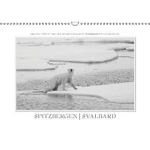 Emotionale Momente: Spitzbergen Svalbard / CH-Version (Wandkalender 2015 DIN A3 quer), Ingo Gerlach
