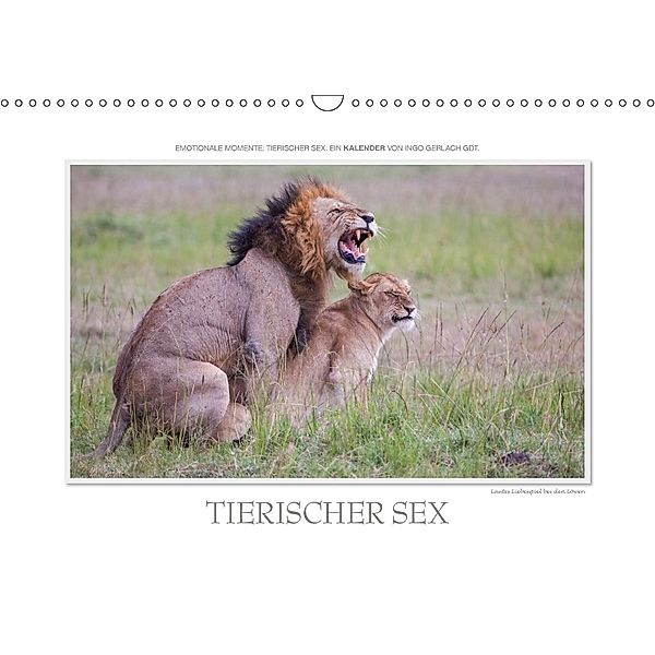 Emotionale Momente: Tierischer Sex. / CH-Version (Wandkalender 2018 DIN A3 quer), Ingo Gerlach, Ingo Gerlach GDT
