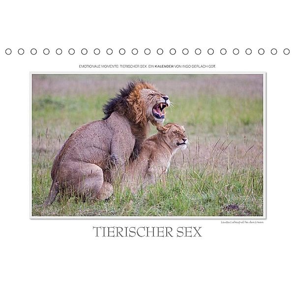 Emotionale Momente: Tierischer Sex. (Tischkalender 2023 DIN A5 quer), Ingo Gerlach GDT