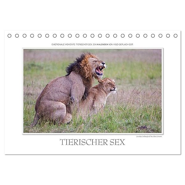 Emotionale Momente: Tierischer Sex. (Tischkalender 2024 DIN A5 quer), CALVENDO Monatskalender, Ingo Gerlach GDT